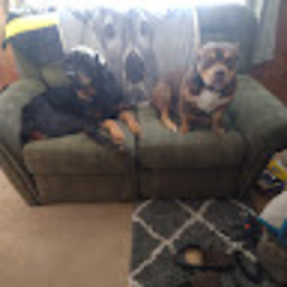 Meet your Posher, Jeffery - Picture 1 of 1